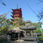 塔の岡