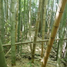 土塁の上を歩いていく