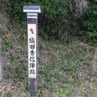 織田秀信陣
