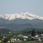 道中