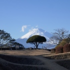 どうも富士山です