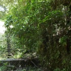 大池　裏ルートより