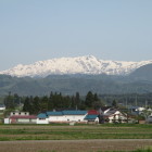 道中