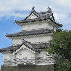 独特だが美しい