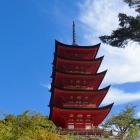 戻ってきた