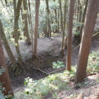横堀　土塁　これは凄い