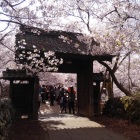 大手門