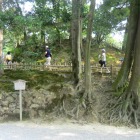 栄螺山