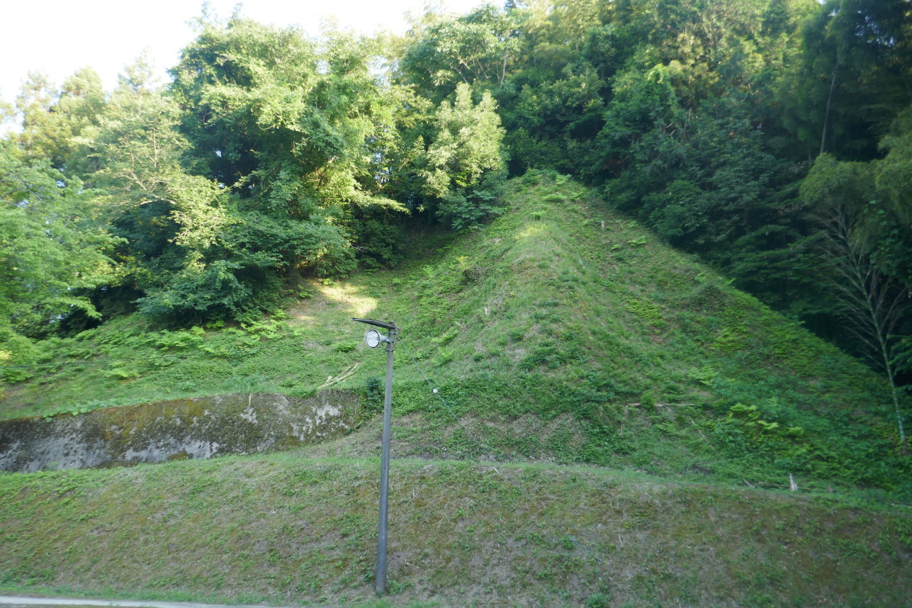 公園から見上げる