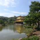 池はそれほど綺麗ではない。
