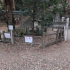 かな井戸