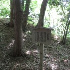 京極丸