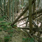 土塁の上より