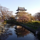 またこの写真