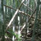 堀切