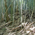 土塁