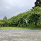 二の丸 土塁