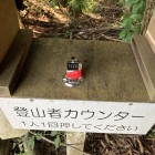 登山者カウンター　私は294番目