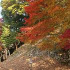 南東尾根・錦秋の本丸石垣