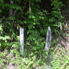佐々木館城址碑