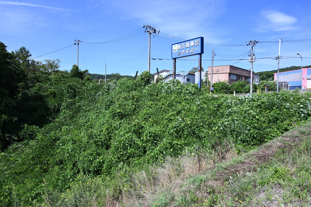 大館
