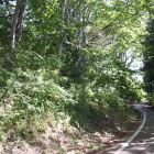 小館