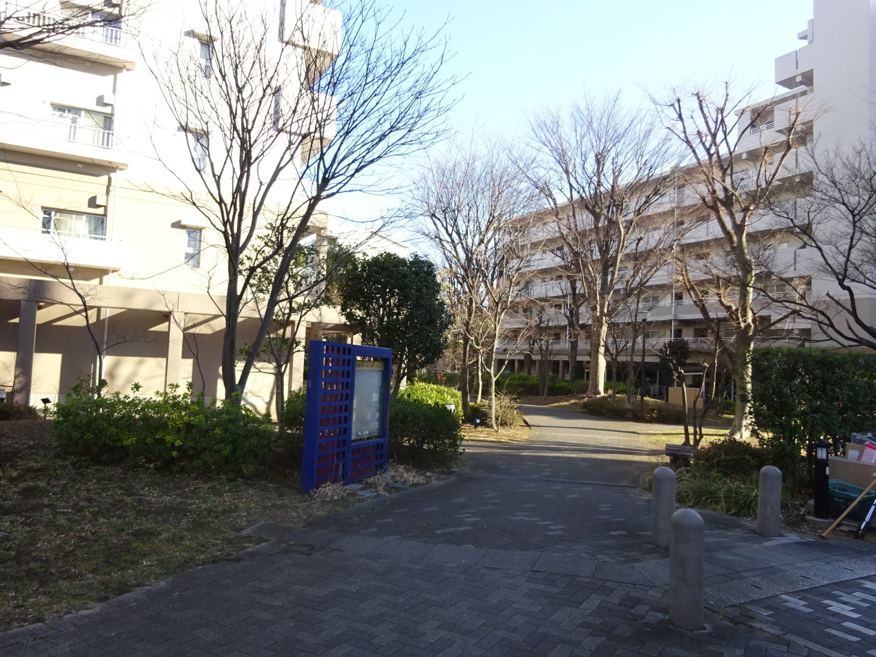 新川・島屋敷通り団地