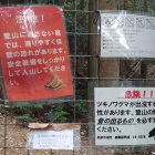 え･･･普段着ですが