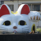 とこにゃん