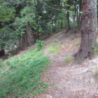 山科中央公園