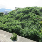 土塁