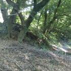 城山上山城の土塁？