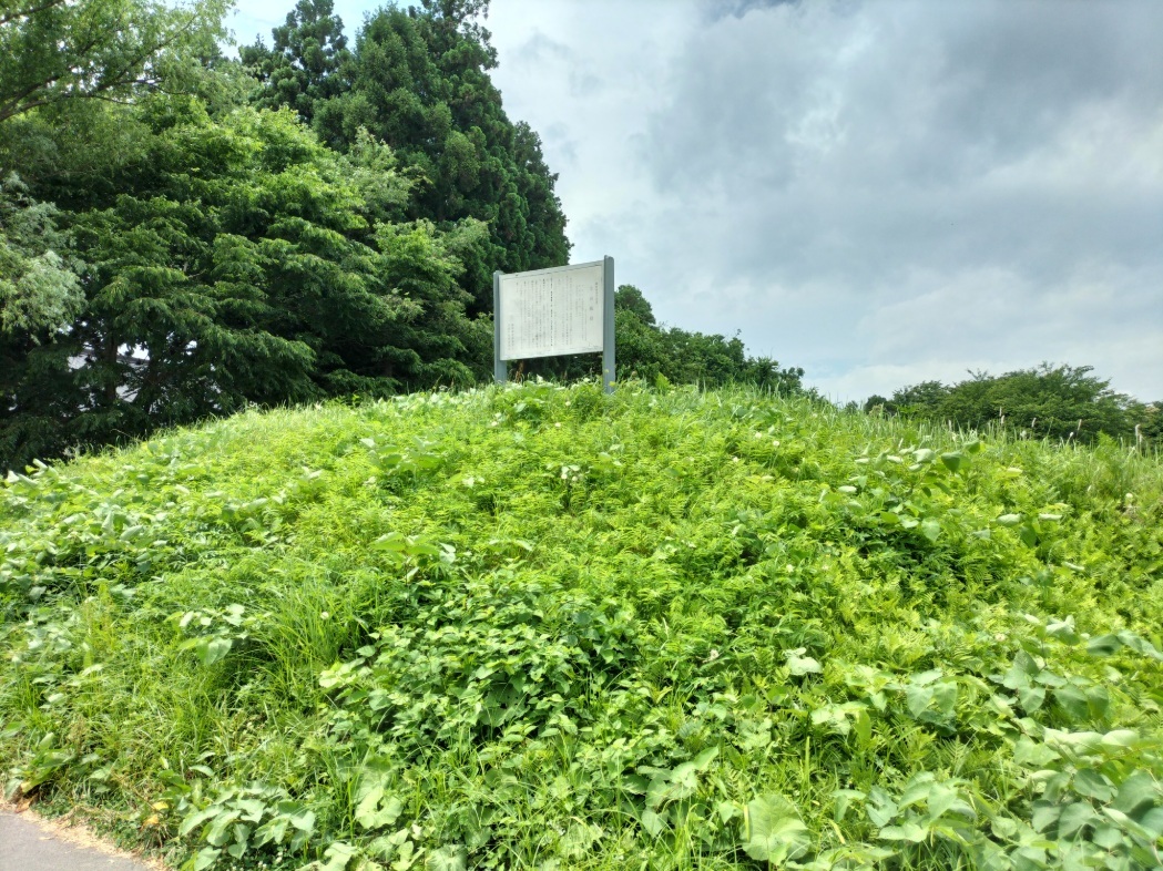 土塁上のパネル
