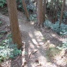 土橋北の曲輪
