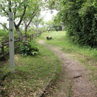 西の尾根馬場平