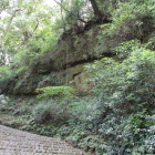 北側の搦手登城階段傍の断崖壁