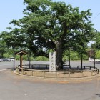 本丸跡と石碑、駐車場