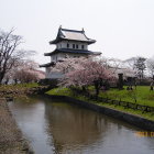 水濠と三重天守閣、桜添え