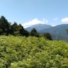 本郭から伊吹山を望む