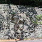 南山麓の石垣、中に巨岩