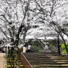 ④	大手門から二ノ丸への桝形