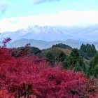 ⑧	雪をかぶった九重連山を眺める