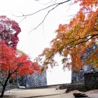 ②	大手門（下から）