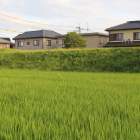 平島一之門付近の三之丸土塁