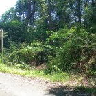 下山する道沿いの竪堀？のような遺構