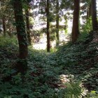 鶴峰城 主郭・北郭間堀切