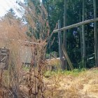 二ノ郭　冠木門