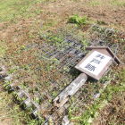 御平庭・井戸跡