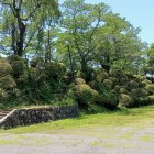 本丸の土塁