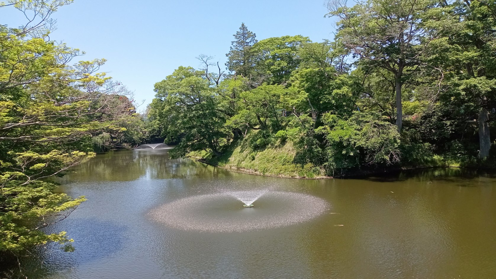 本丸の水堀と土塁